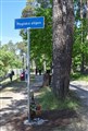 4 FF & Lövharen (540x800).jpg