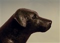 Christina närbild hund.jpg
